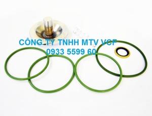 CHECK VALVE KIT 2901050300